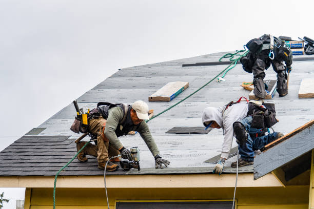 Professional Gutter Installation technician working in Albany, LA