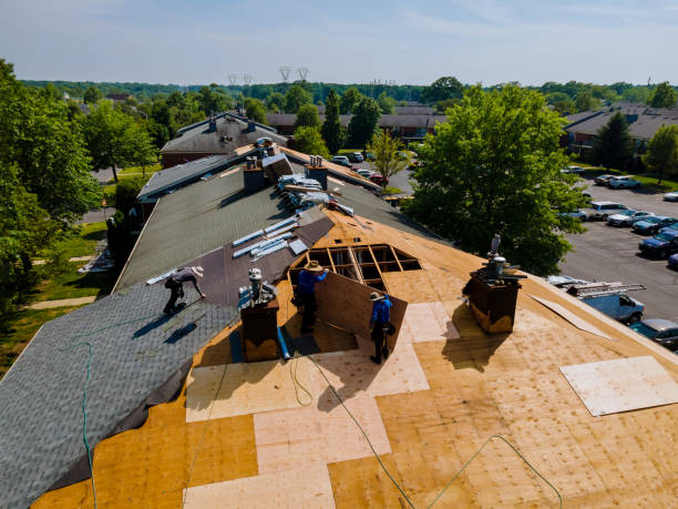 Trusted Roof Replacement service in Albany, LA - Brentwood Metal Roofing